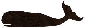 Sperm Whale -  WWW.WhalingCity.Net -  &copy; Roger Chartier